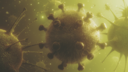 Coronavirus illustration