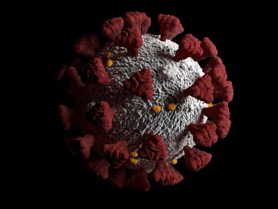 Green coronaviruses - circuit breaker