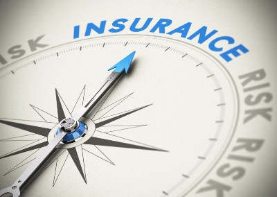 Compass points to "insurance" in blue