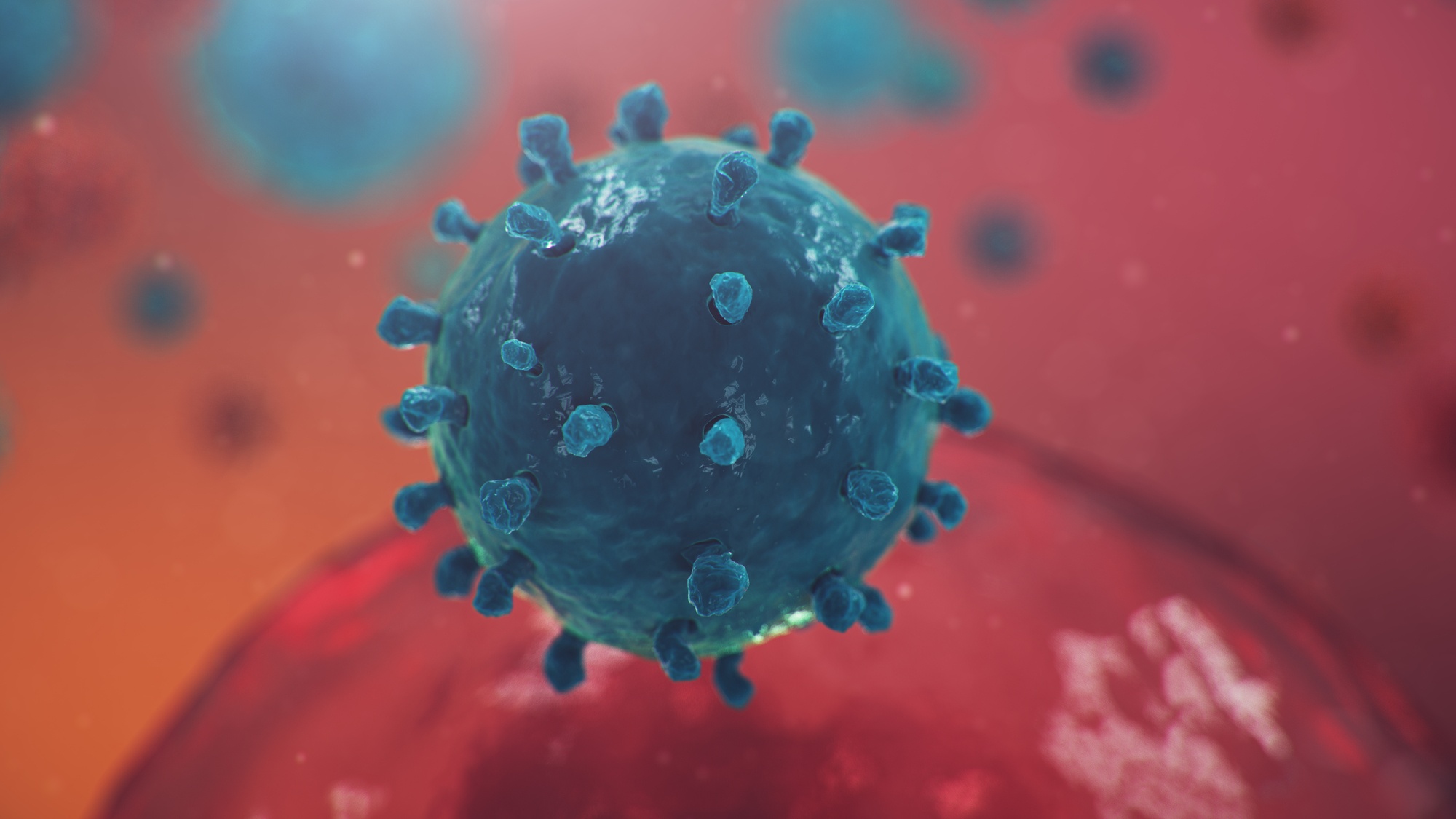 Virus image regarding the new strain of COVID detected